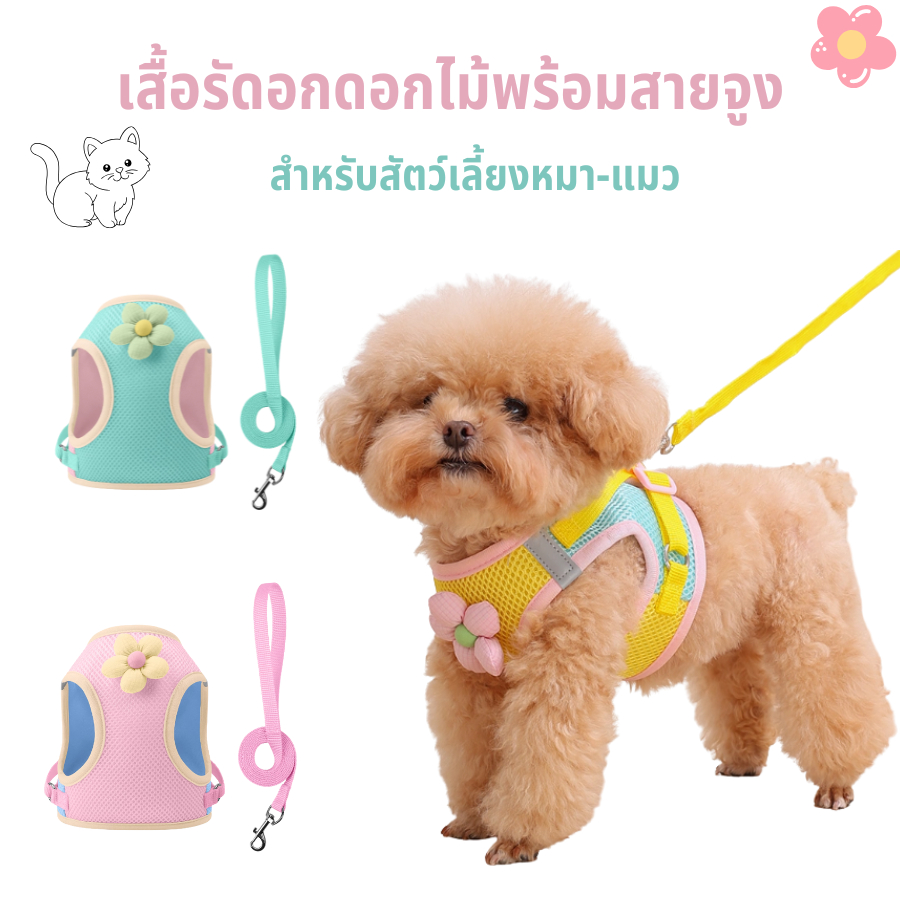 เสื้อกั๊กสายรัดสัตว์เลี้ยงชุดสายจูงสุนัขป้องกันการหนีระบายอากาศอุปกรณ์เดินสุนัขไม่มีดึงปรับนุ่มแมว