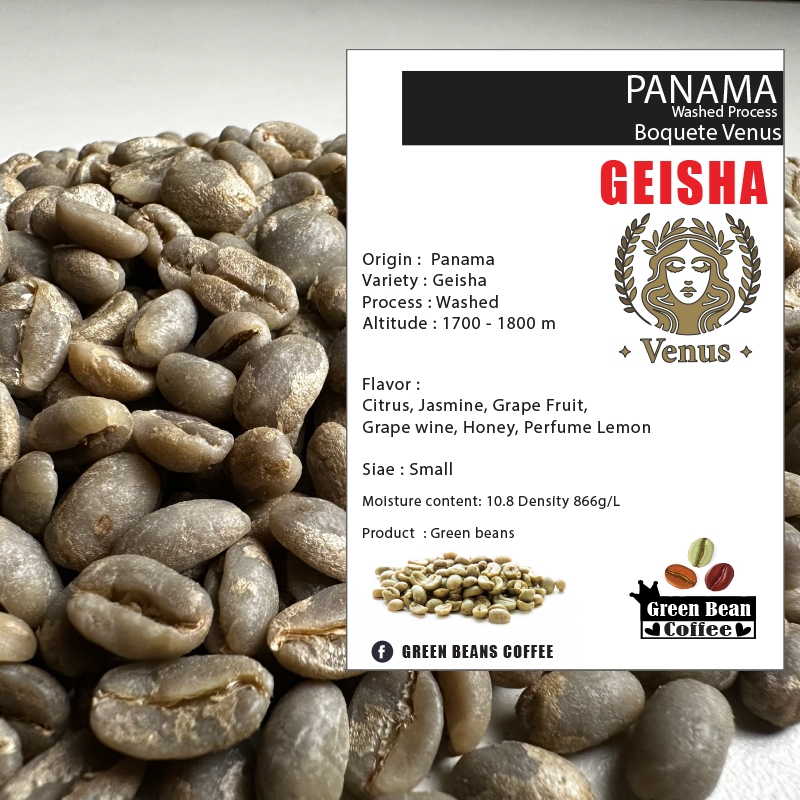 สารเมล็ดกาแฟดิบ PANAMA BOQUETE VENUS GEISHA ” Washed Process ” Green bean ขนาด 1,000 กรัม ราคา ถูกที่สุด ดีลบีเคเค