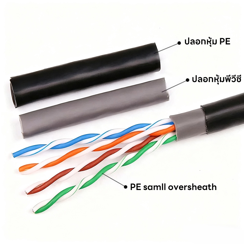 รูปภาพ 3