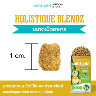 [ส่งด่วน] Solid Gold - Holistique Blendz อาหารสุนัขโฮลิสติก สูตรปลาทะเล สำหรับสุนัขแพ้ง่าย ขนาด 1.81 kg