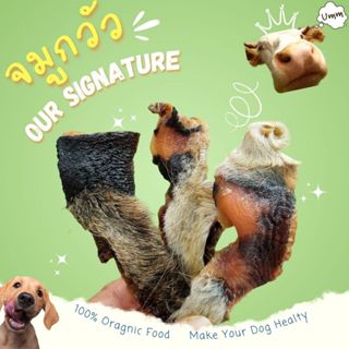 จมูกวัว จมูกวัวอบแห้ง เนื้ออบแห้ง  ขนมขัดฟันสุนัข umm ขนมหมา