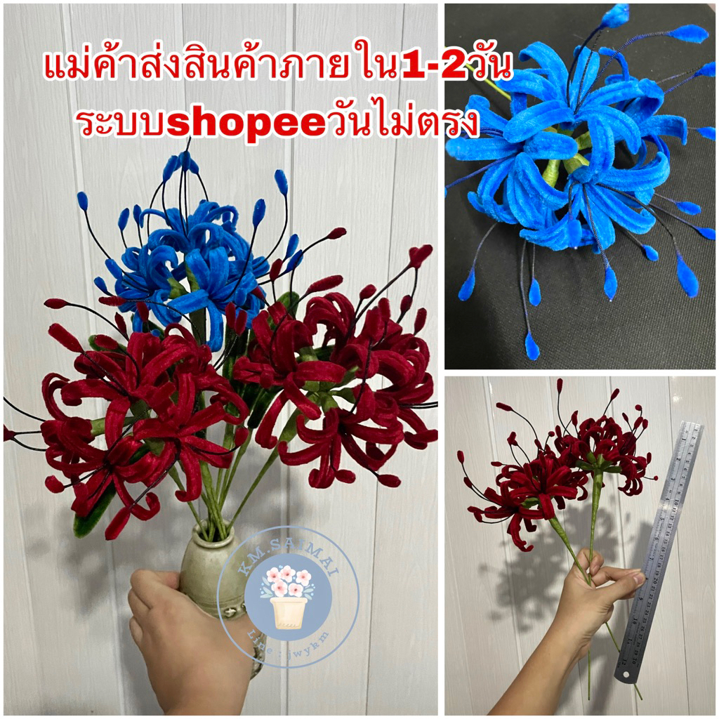 ดอกฮิกันบานะ(มีใบแยกแถมให้) รีดกลีบ ลนไฟ แม่ค้าส่งของ2วันถัดไป