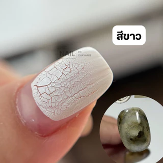สีแตก Crack nail polish (สีธรรมดา สามารถทาแล้วรอแห้งได้เลย)
