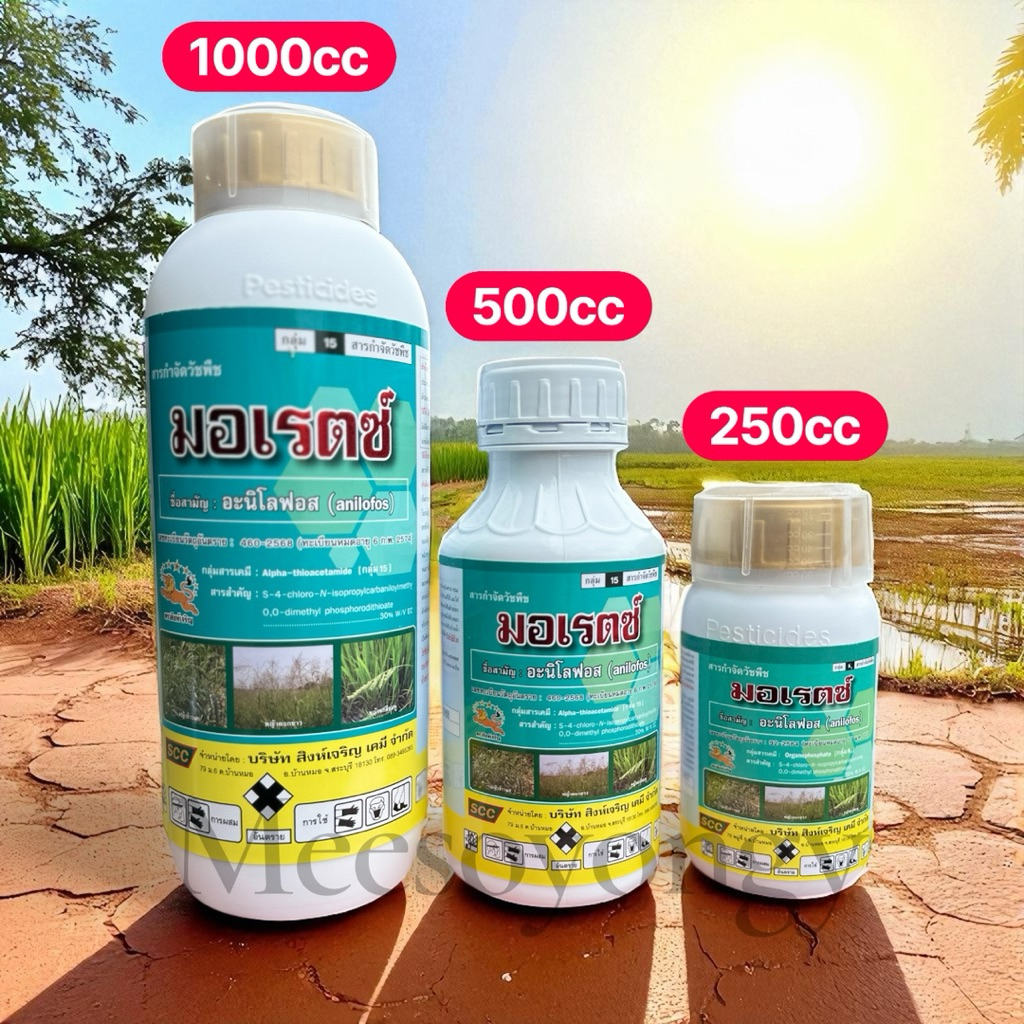 มอเรตซ์ บริษัทสิงห์เจริญ (อะนิโลฟอส 30% W/V EC)-สารกำจัดหญ้าดอกขาว หญ้าข้าวนก หญ้านกสีชมพู ผักปอดนา กกขนาก