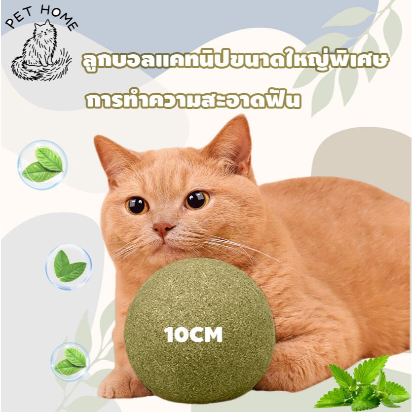 กัญชาแมว catnip ball แคทนิปบอล ของใช้น้องแมว 10cm ผ่อนคลาย อารมณ์ดี
