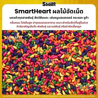 (5KG/10KG) SmartHeart ผลไม้อัดเม็ด อาหารนกแก้ว และสัตว์ฟันแทะทุกชนิด