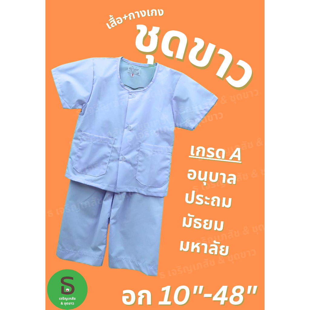 รูปภาพ 5