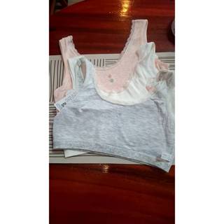 เชต  2  ตัว เพียง  29.- 5020 เสื้อซับในเด็กบังจุกไม่มีฟองน้ำ