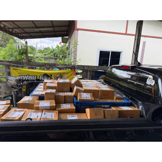 เหยื่อตกปลากดสังข์ทอง ขนาด 500 กรัม