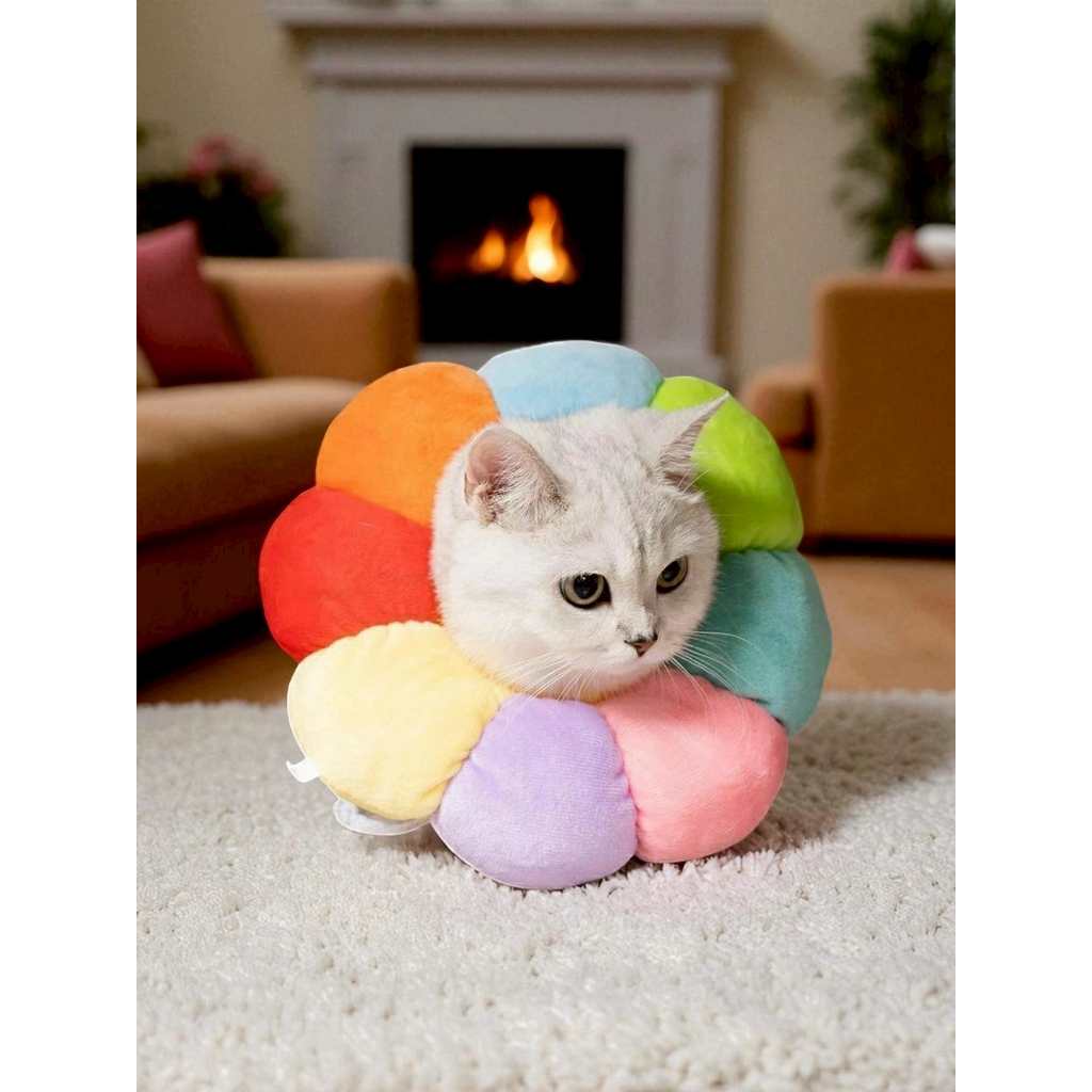 sunflower ปลอกคอกันเลีย สุนัข แมว น้องหมา น้องแมว passiepet