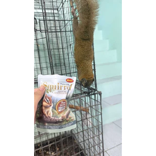 อาหารกระรอก squirrel food 40g. กระรอก กระเล็น กระแต [honeypetz ฮันนี่เพ็ท]