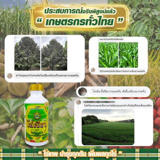 ชุดทดลองไร่เทพโกลด์ 2 ซอง เสริมดอก ออกผลไว ทนฝน-แล้ง เพิ่มผลผลิต+โล่เขียว มัน เขียว ถึก ทน 250 ml.