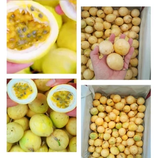 【 1กิโลกรัม 】เสาวรสหวานน้ำผึ้ง 🐝🐝 รสชาติหวาน กลิ่นหอม อร่อย เบอร์C มีติดแผล ไม่กระทบต่อด้านใน (ชั่งรวมกล่อง)