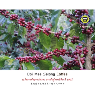 เมล็ดกาแฟคั่ว 4 ระดับ 500g Arabica Coffee100% กาแฟดอยแม่สลอง