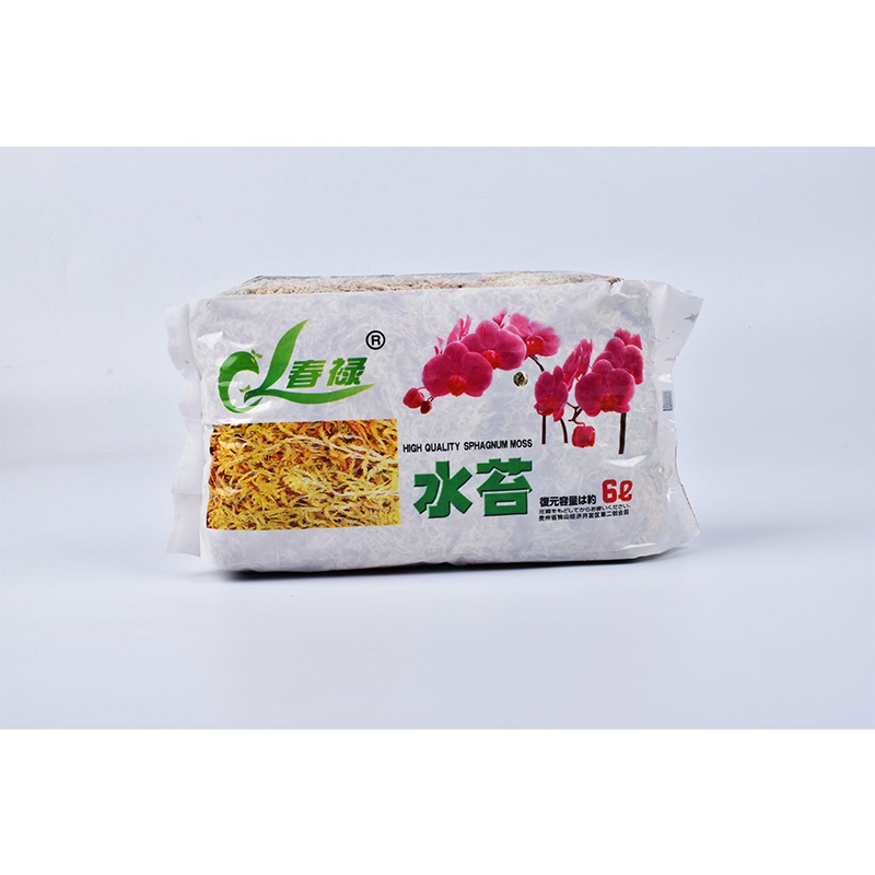 มุมมอง 4