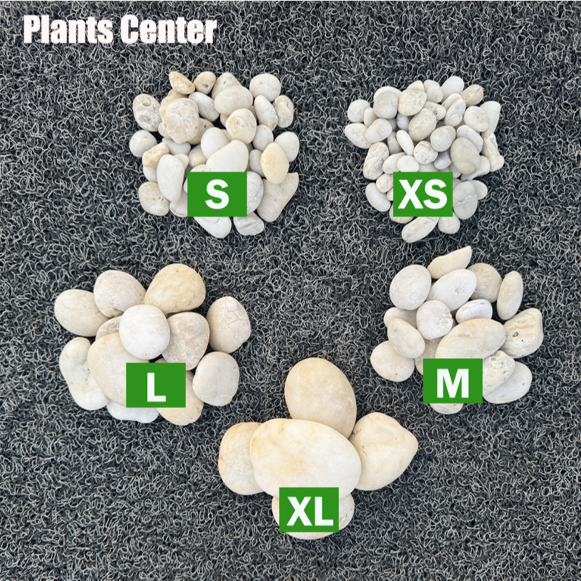 Plants Center ยกกระสอบ 1kg/6-7kg. หินแม่น้ำ หินขาว หินกรวด สำหรับตกแต่งสวนและตู้ปลา