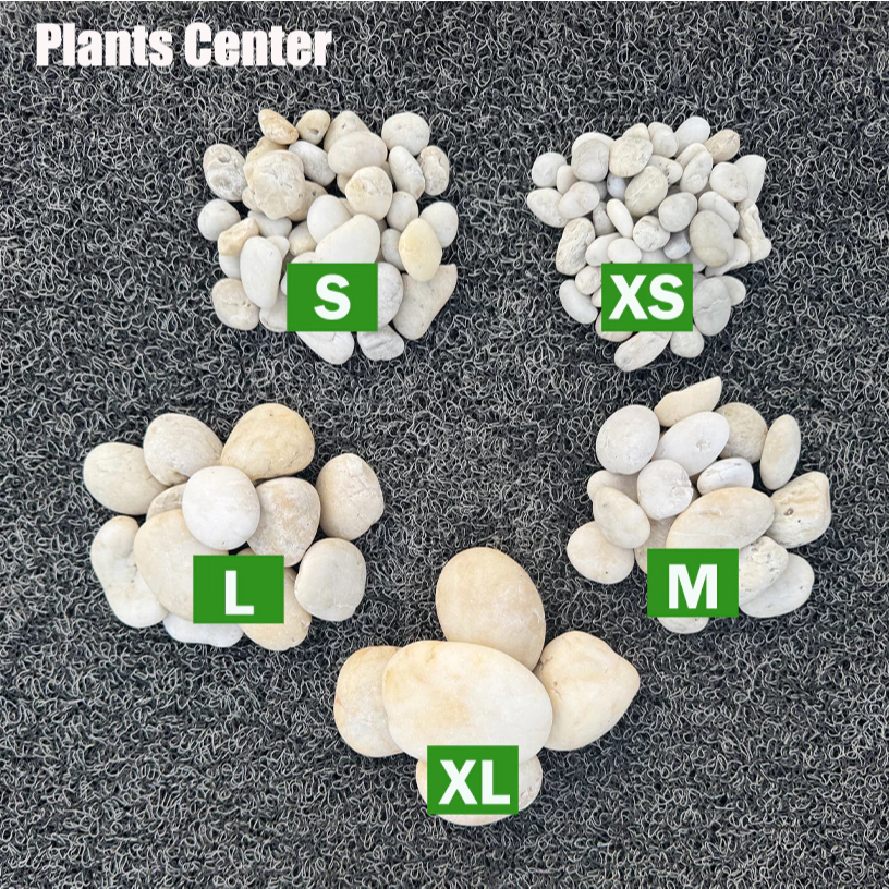 Plants Center T303 ยกกระสอบ 1kg/6-7kg. หินแม่น้ำ หินขาว หินกรวด สำหรับตกแต่งสวนและตู้ปลา
