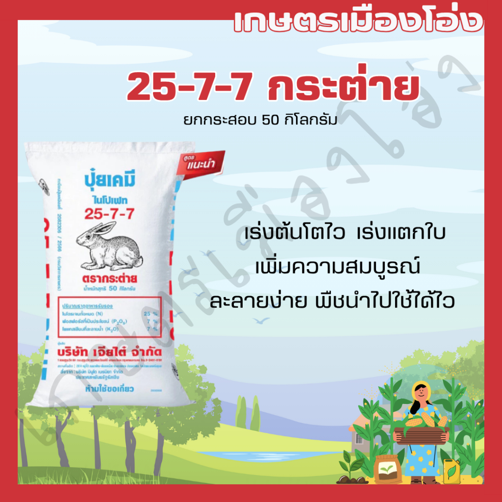 ยกกระสอบ 50กก ปุ๋ยตรากระต่าย สูตร 25-7-7 บลู เคล็ดลับบำรุงพืชผักและไม้ผล เร่งต้นโตไว เร่งแตกใบ เพิ่มความสมบูรณ์