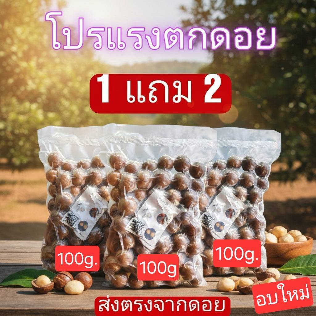 (1แถม2)แมคคาเดเมีย ไทยแท้ อบพร้อมทาน macadamia อย่างดี(กะลา)
