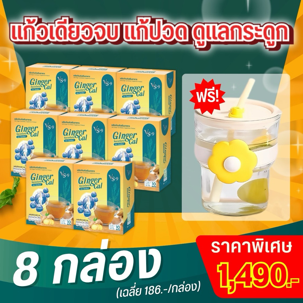 VS9 GingerCal คอลลาเจนสูตรขิงและขมิ้นชัน 8 กล่อง แถม  แก้วดอกไม้