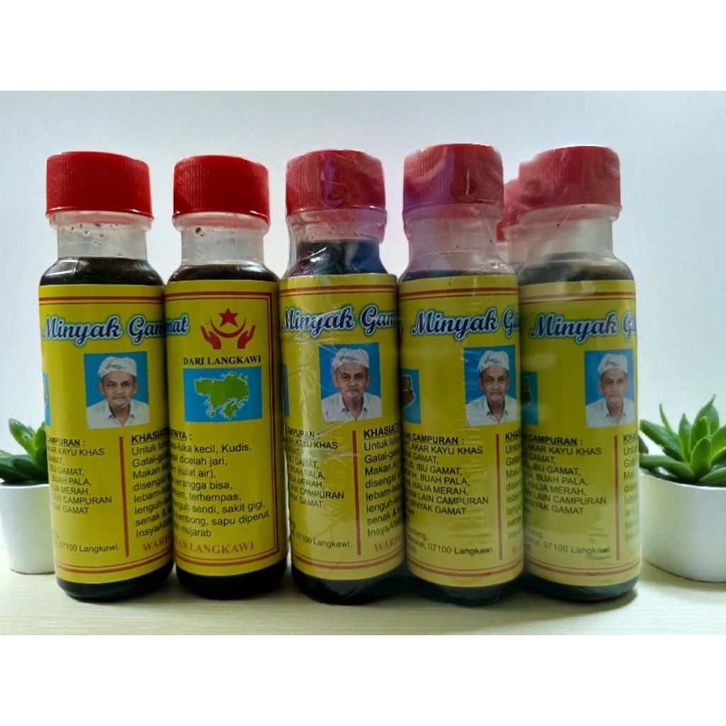 น้ำมันปลิงทะเล minyak gamat