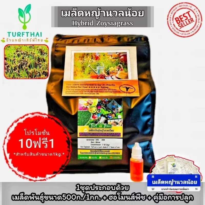 500g./1kg.เมล็ดหญ้านวลน้อยZoysiagrass 5กก.🛒ฟรี1แพคขนาด500g.
