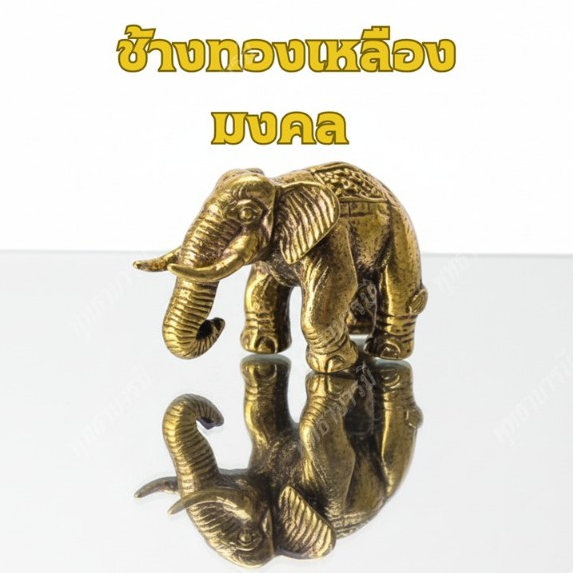 ช้างทองเหลืองมงคลขนาดจิ๋ว 2x3.5 ซม.ทองเหลือง ตั้งโต๊ะบูชาโต๊ะทำงาน เติมพลังมงคลให้ชีวิต - พุทธาบารมี