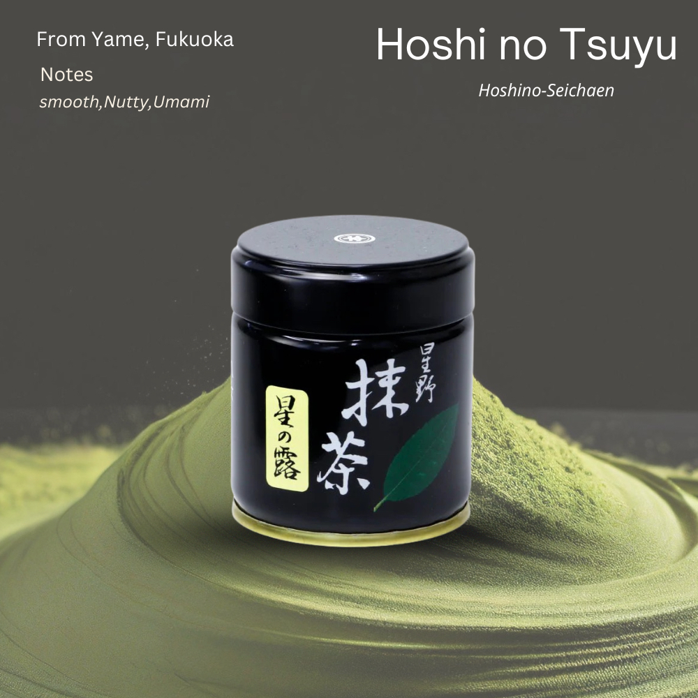 [พร้อมส่ง] Hoshi no tsuyu 40g จาก Hoshino-Seichaen exp05/26