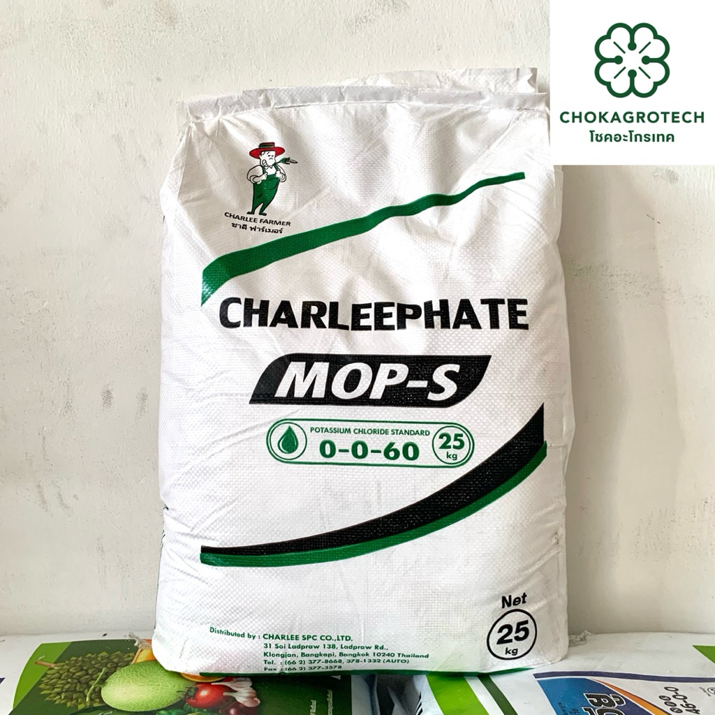 ปุ๋ยเกร็ด 0-0-60 ชาลีเฟรท (25 กิโลกรัม) ช่วยในการลงหัว เพิ่มปริมาณแป้ง เพิ่มความหวาน เพิ่มขนาด และสี