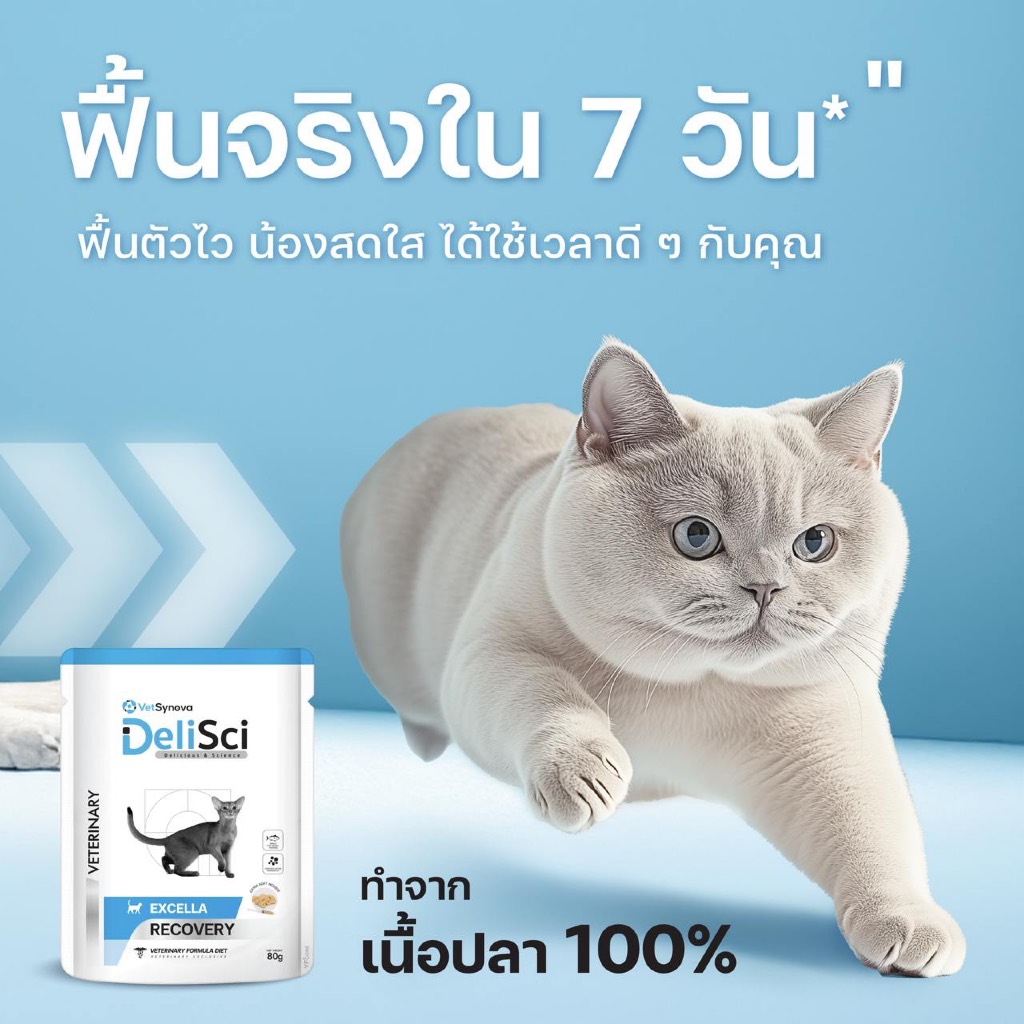 ส่งด่วนมาก+ผ่อนได้⚡️DeliSci Excella Recovery ให้พลังงาน โปรตีน และสารอาหารครบ ช่วยฟื้นตัวเร็ว ลดความเสี่ยงหลังผ่าตัด