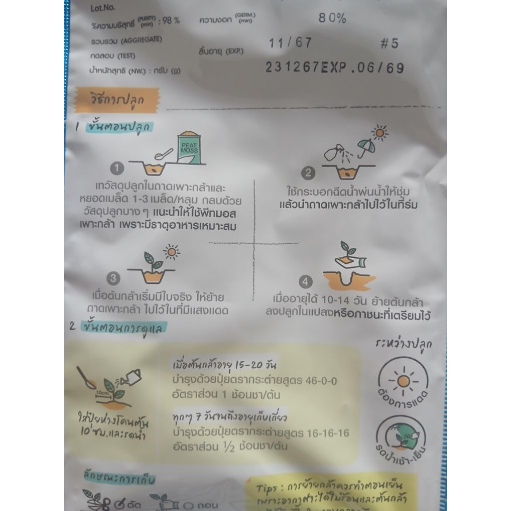 เมล็ดพันธุ์ ผักกาดขาวใหญ่ (หรือ Chinese Cabbage) ตรา เจียไต๋ - รูปที่ 5