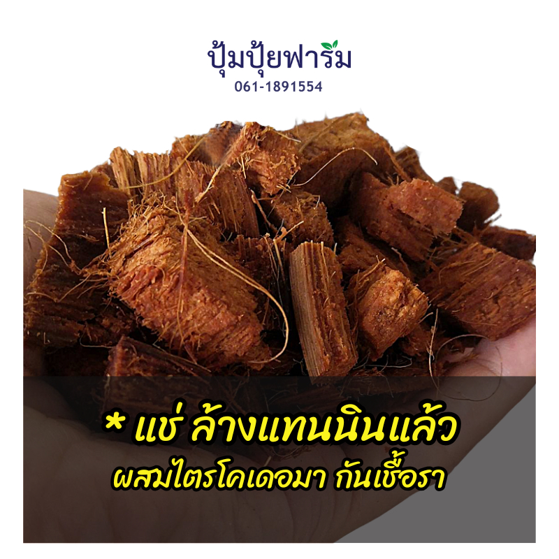 กาบมะพร้าวสับ (แช่ล้างแทนนิน + หมักไตรโคเดอมา) ถุง 3 ลิตร 15฿, *2ถุง 28฿  พร้อมใช้