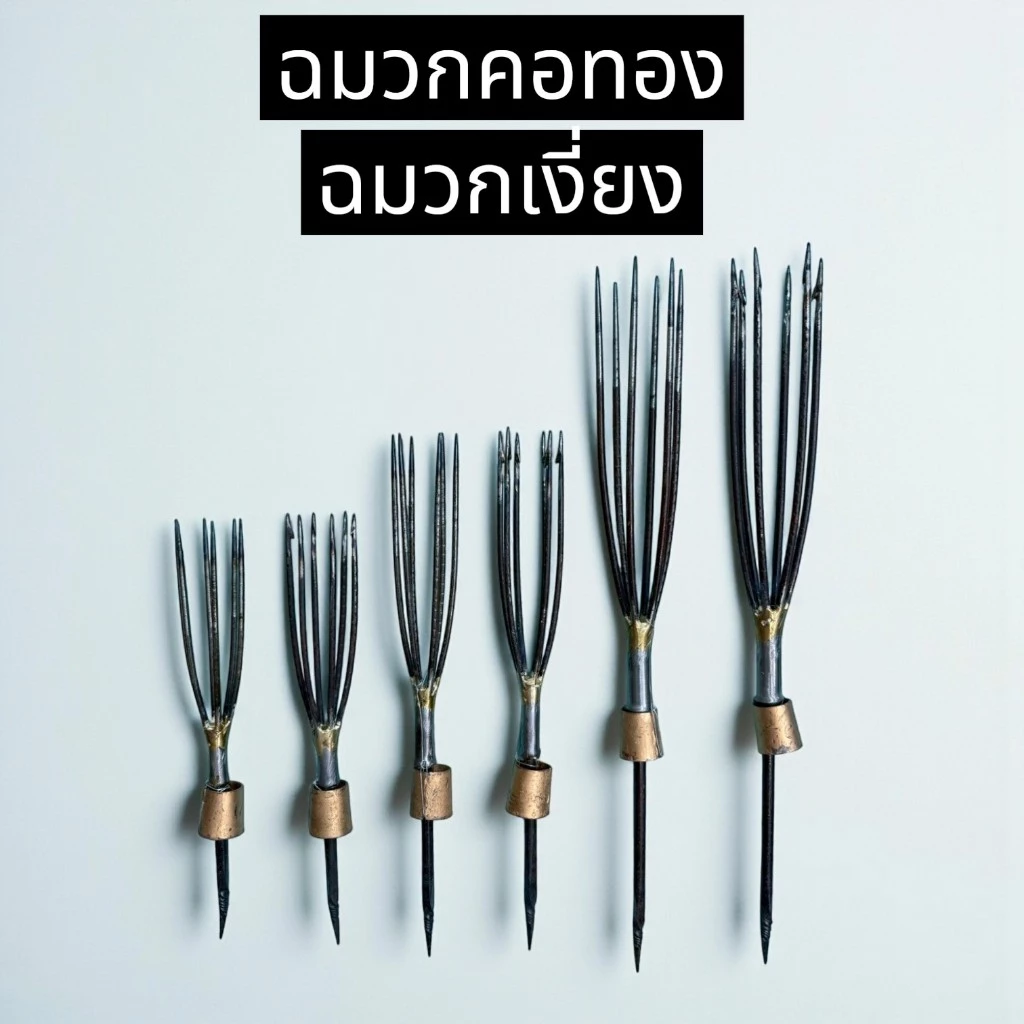 ฉมวก ฉมวกมีเงี่ยง ฟัน 6 ซี่ ฉมวกกลม ฉมวกแบน ฉมวกหาปลา