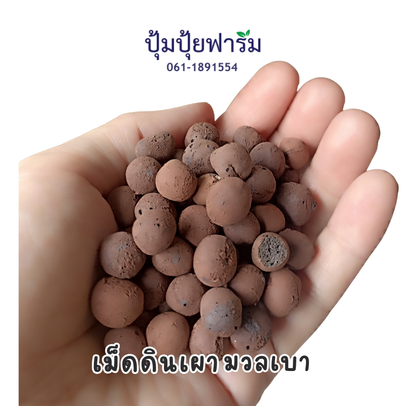 เลก้าบอล เม็ดดินเผามวลเบา leca ball นำเข้า hydro clay pebbles 380g.(ประมาณ 1ลิตร Ltr.)