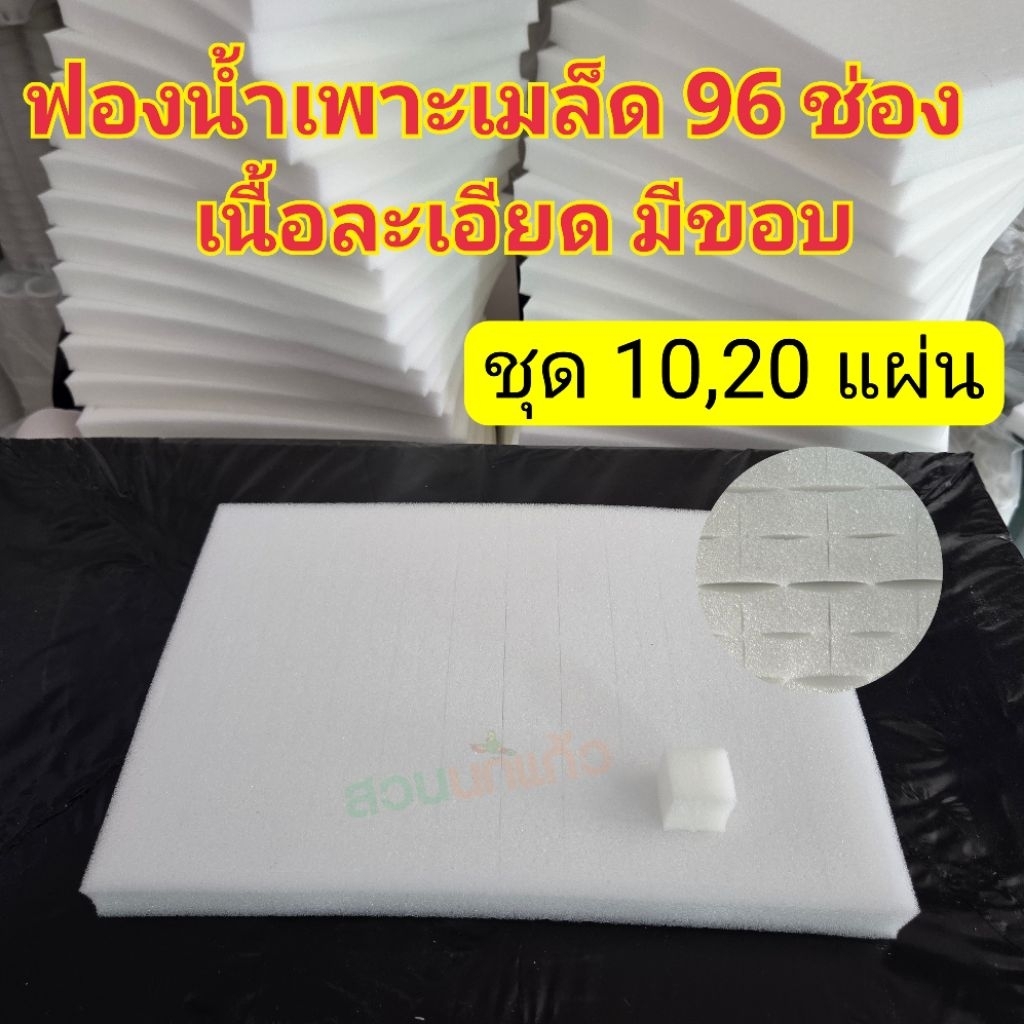 ชุด10,20แผ่น ฟองน้ำปลูกผักไฮโดรโปนิกส์ เพาะเมล็ด เนื้อละเอียดมีขอบ 96 ช่อง