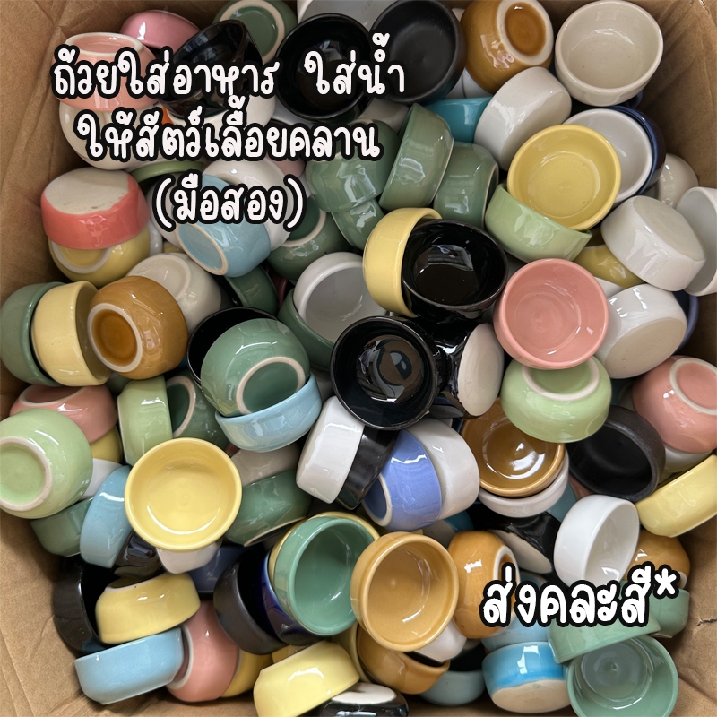 (มือสอง) ถ้วยเซรามิค ถ้วยใส่อาหาร ถ้วยใส่น้ำ สำหรับสัตว์เลื้อยคลาน ส่งแบบคละสี