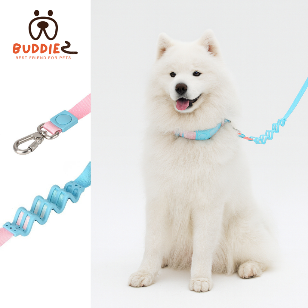 Buddiez สายจูง น้องหมา ป้องกันแรงกระชาก ลดแรงดึง ด้ามจับนิ่มมีฟองน้ำซัพพอร์ต วัสดุเชือกไนลอนพรีเมี่ยมเย็บแน่น
