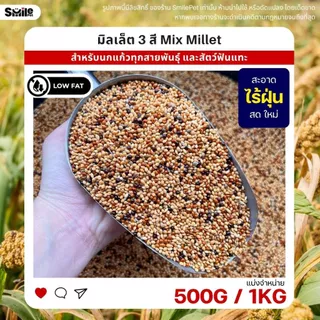 มิลเล็ต 3สี Mix Millet เกรดA อาหารนกเขาเล็ก นกแก้ว สัตว์ฟันแทะ สะอาด ร่อนฝุ่น (แบ่งขาย 500G / 1KG)