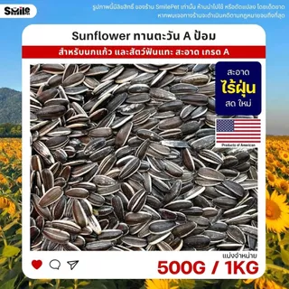 ทานตะวัน Aป้อม เม็ดใหญ่ เกรดA อาหารนกแก้ว และสัตว์ฟันแทะ สะอาด ร่อนฝุ่นทุกถุง (แบ่งขาย 500G / 1KG)