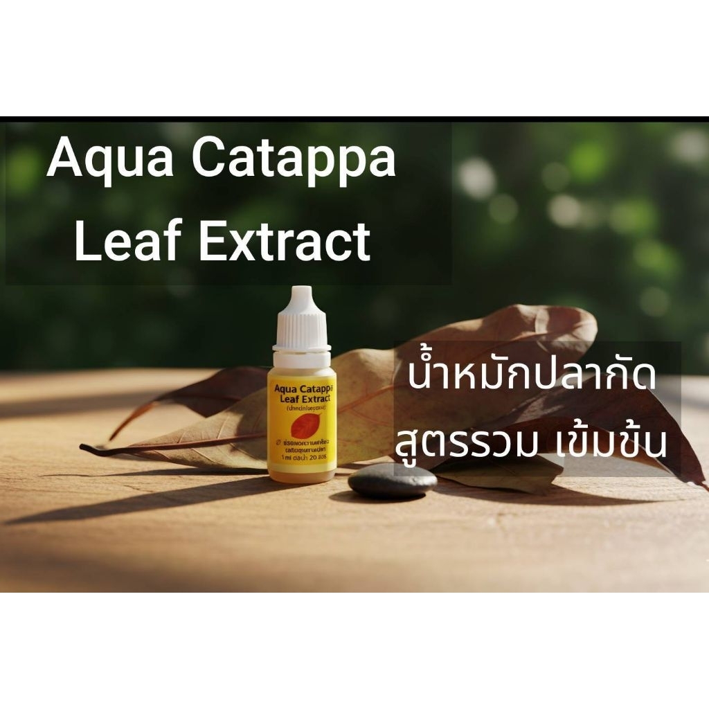 น้ำหมักปลากัด สูตรรวม วิตามินบำรุง ในขวดเดียว  Aqua Catappa Leaf Extractเข้มข้น
