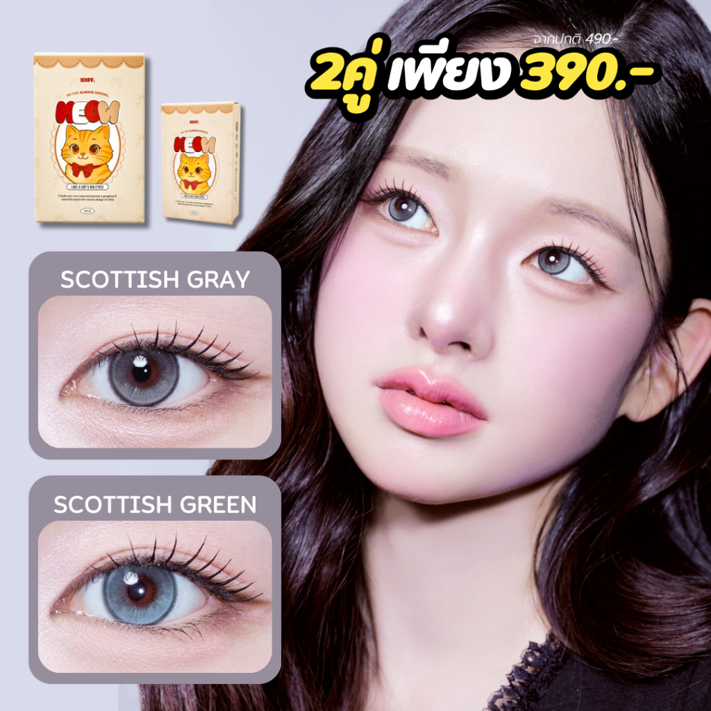 O-LOLA LENS - MEOW FLUFFY SCOTTISH คอนแทคเลนส์เกาหลี คอนแทคเลนส์รายเดือน