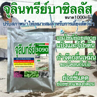 จุลินทรีย์บาซิลลัส3090 บำบัดน้ำเสียในบ่อเลี้ยงสัตว์น้ำ ย่อยข…