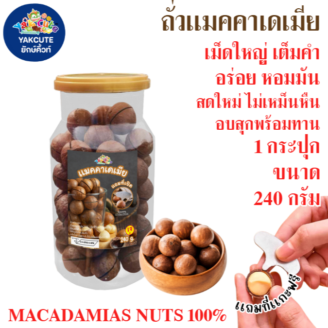 1 กระปุก แมคคาเดเมีย เกรดพรีเมี่ยม เม็ดใหญ่ เนื้อเต็ม เปลือกบางเเถมที่เเกะ Macadamis Nut  ขนาด240กรัม