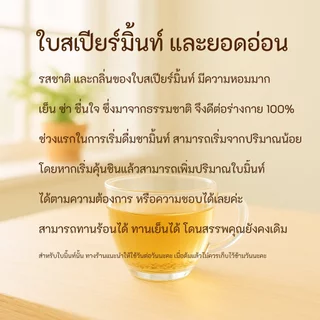 🌱 ใบสเปียร์มิ้นต์อบแห้ง 🌱 ขนาด 30 กรัม 🌱 บรรจุถุงซิป 🌱 Spear Mint 🌱