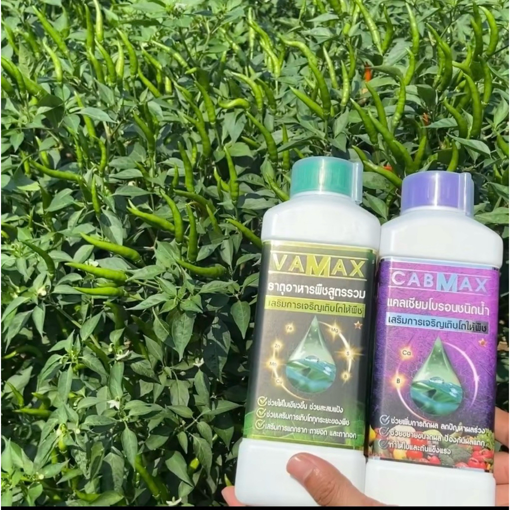 [1แถม1] CabMax+VaMax แคลเซียมโบรอนเข้มข้ม แถม ปุ๋ยธาตุรวม ราคาพิเศษ - 3