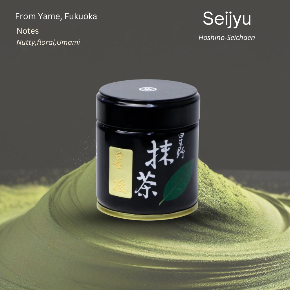 [พร้อมส่ง] Seijyu จาก Hoshino-Seichaen exp05/26