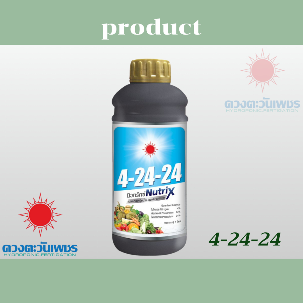 ดวงตะวันเพชร 4-24-24