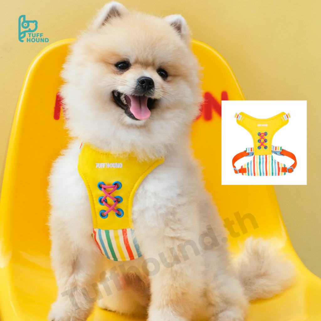 เซตสายรัดอกและสายจูงสุนัข Tuff Hound รุ่น Rainbow Harness & Leash สีรุ้ง น่ารักทนทาน