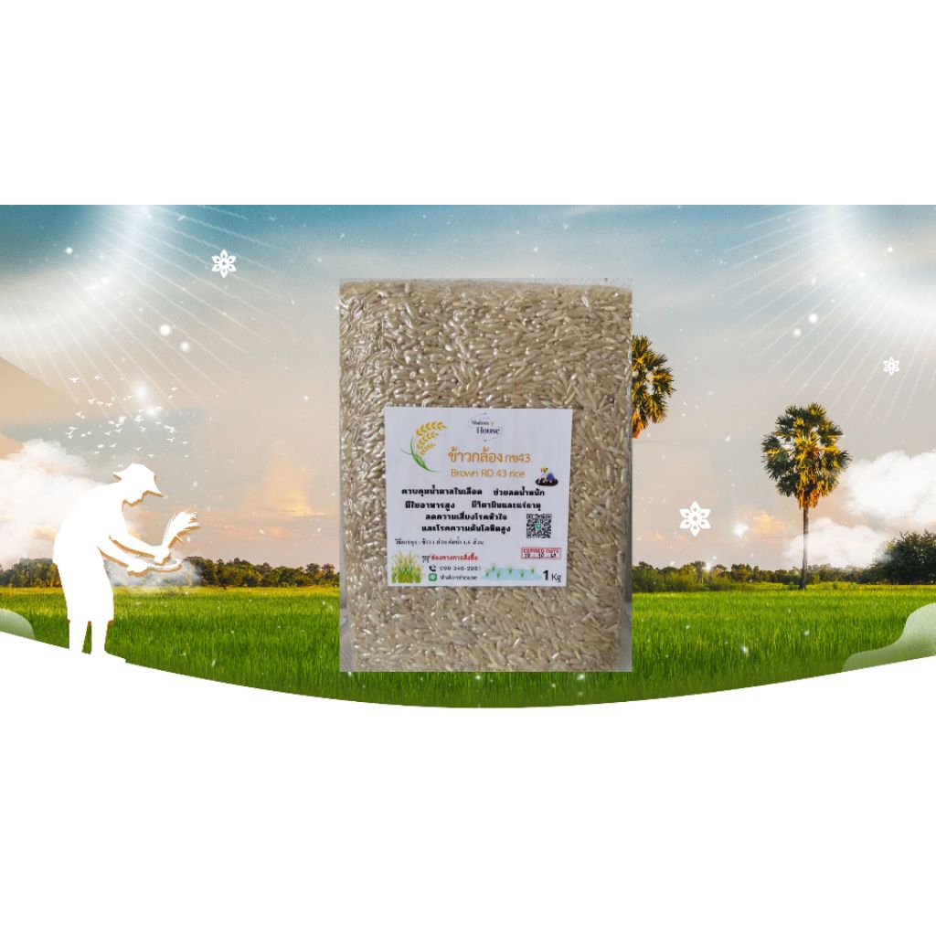 ข้าวกล้องกข43(Brown RD43 rice)