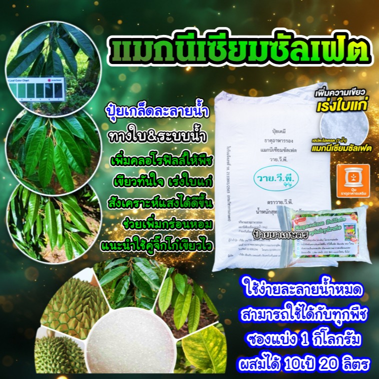 แมกนีเซียมซัลเฟต เฮปตะไฮเดรต (1Kg) ปุ๋ยเกล็ด ปุ๋ยทางใบ แม่ปุ๋ยดีเกลือฝรั่ง เร่งใบเขียวเข้ม เขียวเร็ว